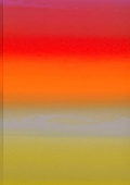 Cover: Raphael Hefti - Salutary Failures - Lenz Press