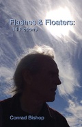Cover: Flashes & Floaters - Wordworkers Press