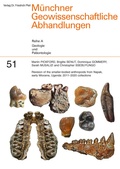 Cover: Revision of the smaller-bodied anthropoids from Napak, early Miocene, Uganda: 2011-2020 collections - Pfeil, F