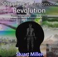 Cover: Stopping a dangerous Revolution: Providing insight into some of the biggest cultural and social challenges with solutions - Stuart Miller