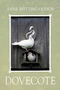 Cover: Dovecote - Bedazzled Ink Publishing