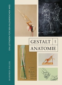 Abbildung von: Gestalt und Anatomie - Favoritenpresse GmbH