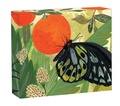 Cover: Butterflies QuickNotes - teNeues Publishing Company
