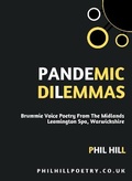 Cover: Pandemic Dilemmas - Jem Stone Publications