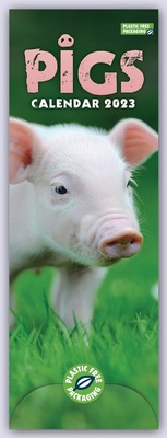 Abbildung von: Pigs - Ferkel - Schweinchen 2023 - Slimline-Kalender - Brown Trout-Auslieferer Flechsig