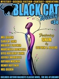 Cover: Black Cat Weekly #34 - Wildside Press