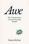Cover: Awe - Penguin