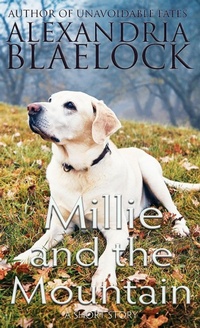 Abbildung von: Millie and the Mountain - BlueMere Books