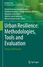 Cover: Urban Resilience: Methodologies, Tools and Evaluation - Springer