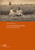 Cover: Arno Schmidts Juvenilia - edition text + kritik