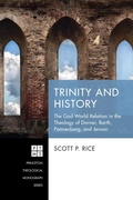 Cover: Trinity and History - Wipf and Stock Publishers