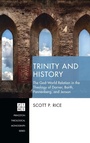 Cover: Trinity and History - Wipf & Stock Publishers