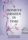 Cover: A Moment Frozen in Time - Outskirts Press