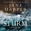 Cover: Der Sturm - steinbach sprechende b&uuml;cher