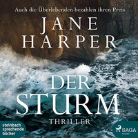 Enlarge image Cover: Der Sturm - steinbach sprechende bücher