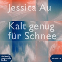Abbildung von: Kalt genug für Schnee - steinbach sprechende bücher
