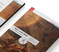 Cover: Bau und Holz Technisches Seminar E-Book Solo - Trauner Verlag
