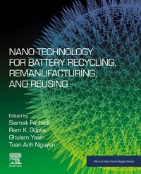 Abbildung von: Nano Technology for Battery Recycling, Remanufacturing, and Reusing - Elsevier