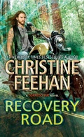 Cover: Recovery Road - Berkley