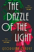 Cover: The Dazzle of the Light - Verve Books