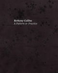 Cover: Bethany Collins: A Pattern or Practice - Illinois State University, University Galleries