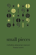 Cover: small pieces - Deep Vellum Publishing