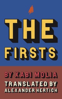 Enlarge image Cover: The Firsts - Dalkey Archive Press