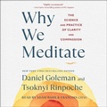 Cover: Why We Meditate - SIMON & SCHUSTER AUDIO