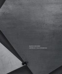 Enlarge image Cover: David Goldes: Unpredictable Drawings - Radius Books
