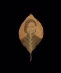 Cover: Binh Danh: The Enigma of Belonging - Radius Books