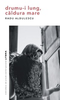 Cover: Drumu-i lung, caldura mare - Litera Media Group