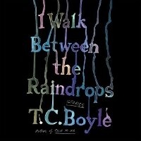 Enlarge image Cover: I Walk Between the Raindrops - HarperCollins