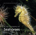Bild: In the Company of Seahorses - Princeton University Press
