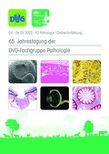 Bild: 65. Jahrestagung der DVG-Fachgruppe Pathologie 2022 - DVG Service