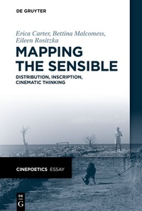 Enlarge image Cover: Mapping the Sensible - De Gruyter