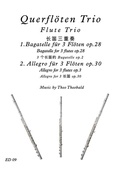 Cover: Querfl&ouml;ten Trio - Musikverlag Theo Theobald