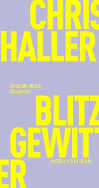 Enlarge image Cover: Blitzgewitter - Matthes & Seitz Berlin