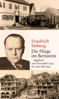 Abbildung von: Die Fliege im Bernstein - Wallstein