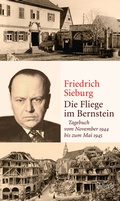 Cover: Die Fliege im Bernstein - Wallstein