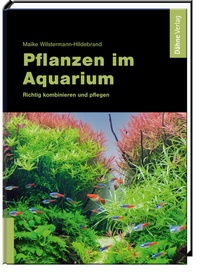 Abbildung von: Pflanzen im Aquarium - Dähne Verlag