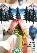 Cover: What the Water Gave Me - IngramSpark