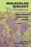 Cover: Molecular Biology Techniques - Academic Press