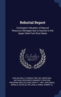 Cover: Rebuttal Report - Sagwan Press