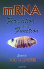 Cover: mRNA Formation and Function - Academic Press