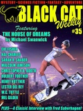 Cover: Black Cat Weekly #35 - Wildside Press
