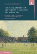 Cover: The Theory, Practice, and Interpretation of Customary International Law - Cambridge University Press
