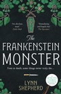 Cover: The Frankenstein Monster - Canelo Hera