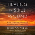 Cover: Healing the Soul Wound - Tantor Audio