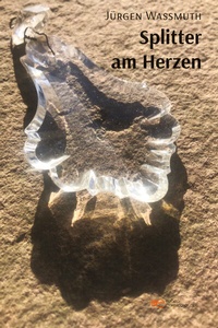 Enlarge image Cover: Splitter am Herzen - Europa Edizioni srl
