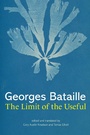 Cover: The Limit of the Useful - MIT Press